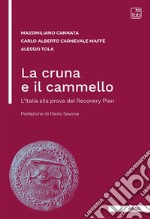 La cruna e il cammelloL’Italia alla prova del Recovery Plan. E-book. Formato PDF ebook