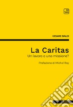 La CaritasUn lavoro o una missione?. E-book. Formato PDF