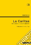 La CaritasUn lavoro o una missione?. E-book. Formato PDF ebook