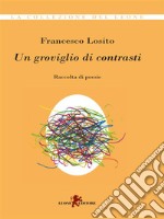 Un groviglio di contrasti. E-book. Formato EPUB ebook