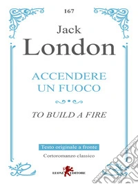Accendere un fuoco. E-book. Formato EPUB ebook