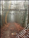 Centotredici Passi. E-book. Formato PDF ebook di Mirko Vesentini