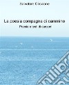 La poesia compagna di cammino - Poesie e testi di canzoni. E-book. Formato EPUB ebook