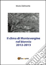 Il clima di Montevergine nel biennio 2012 - 2013. E-book. Formato PDF ebook