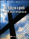 Da Foligno a piedi. Sulle vie dei pellegrini dell'Italia centrale. E-book. Formato PDF ebook