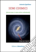 Semi Cosmici: Forse non ci sono altre soluzioni. E-book. Formato PDF