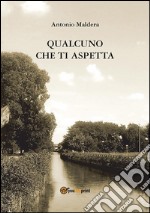 Qualcuno che ti aspetta. E-book. Formato Mobipocket ebook