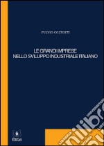 Le grandi imprese nello sviluppo industriale italiano. E-book. Formato EPUB