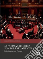 La norma giuridica non del Parlamento. Riflessioni sul caso Englaro. E-book. Formato EPUB ebook