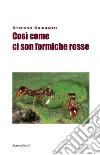 Cosi’ come ci son formiche rosse. E-book. Formato Mobipocket ebook di Stefano Briccanti Briccanti