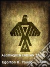 Algonquin indian tales. E-book. Formato EPUB ebook di Egerton R. Young