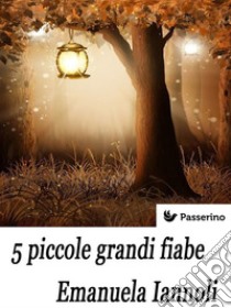 5 piccole grandi fiabe. E-book. Formato Mobipocket ebook di Emanuela Iannoli