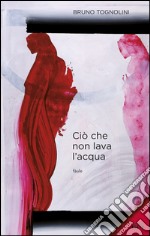 Ciò che non lava l'acqua. E-book. Formato PDF ebook