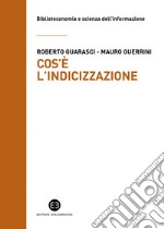 Cos'è l'indicizzazione. E-book. Formato EPUB ebook