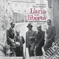 L’aria della libertà: L’Italia di Piero Calamandrei. E-book. Formato PDF ebook