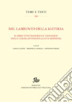 Nel labirinto della materia: Il dibattito filosofico e teologico dalla tarda antichità all’età moderna. E-book. Formato PDF ebook