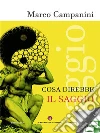 Cosa direbbe il saggio. E-book. Formato EPUB ebook di Marco Campanini