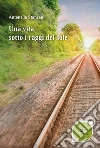 Una Vita Sotto I Raggi Del Sole. E-book. Formato EPUB ebook di Antonella Stanzani