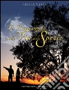 Ti raggiungerò sulla via delle spezie. E-book. Formato Mobipocket ebook di Giulia Orati