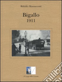 Bigallo 1911. E-book. Formato EPUB ebook di Ridolfo Mazzucconi