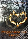 Prigioniere del Fuoco: Le principesse e il Fuoco di Shadow Creek. E-book. Formato Mobipocket ebook di Loredana Baridon