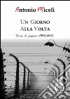 Un giorno alla volta. Diario di prigionia (1943-1945). E-book. Formato Mobipocket ebook di Antonio Miceli