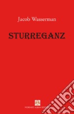 Sturreganz. E-book. Formato EPUB ebook