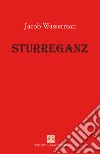 Sturreganz. E-book. Formato EPUB ebook