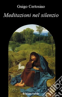 Meditazioni nel silenzio. E-book. Formato EPUB ebook