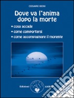 Dove va l’anima dopo la morte. E-book. Formato Mobipocket ebook