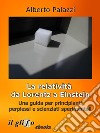 La relatività da Lorentz a Einstein.Una guida per principianti, perplessi e scienziati sperimentali.. E-book. Formato EPUB ebook di Alberto Palazzi