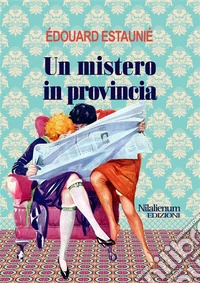 Un mistero in provincia. E-book. Formato EPUB ebook