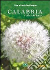 Calabria. I colori del bosco. E-book. Formato PDF ebook