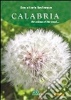 Calabria. The colours of the wood. E-book. Formato PDF ebook di Ilaria Bevilacqua