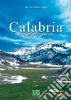 Calabria nord del profondo sud. E-book. Formato PDF ebook