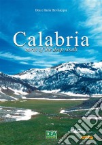 Calabria north of the deep south. E-book. Formato PDF ebook