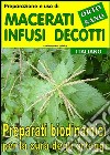 Preparazione e uso di macerati, infusi, decotti. Preparati biodinamici per la cura degli ortaggi. E-book. Formato Mobipocket ebook