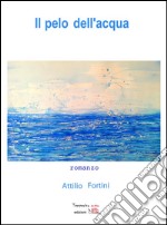 Il pelo dell'acqua. E-book. Formato EPUB ebook