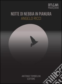 Notte di nebbia in pianura. E-book. Formato Mobipocket ebook di Angelo Ricci