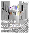 Napoli a occhio nudo. E-book. Formato EPUB ebook