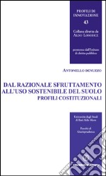 Dal razionale sfruttamento all’uso sostenibile del sottosuolo. E-book. Formato EPUB ebook