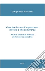 Cosa fare in caso di separazione, divorzio o fine convivenza. E-book. Formato EPUB ebook