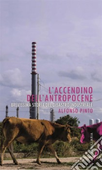 L'accendino dell'AntropoceneBrevissima storia del disastro industriale. E-book. Formato EPUB ebook di Alfonso Pinto