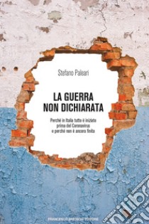 La guerra non dichiarata. E-book. Formato EPUB ebook di Stefano Paleari