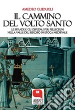 Il cammino del Volto Santo di  LuccaLe strade e gli ospedali per pellegrini nella valle. E-book. Formato Mobipocket ebook