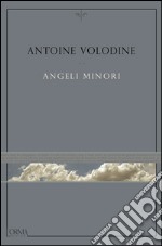 Angeli minori. E-book. Formato EPUB ebook