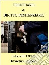 Prontuario di diritto penitenziario. E-book. Formato EPUB ebook