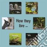 How they liveLearn All There Is to Know About Animals!. E-book. Formato EPUB ebook