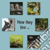 How they liveLearn All There Is to Know About Animals!. E-book. Formato EPUB ebook