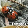 How they live... LadybirdsLearn All There Is to Know About These Animals!. E-book. Formato EPUB ebook